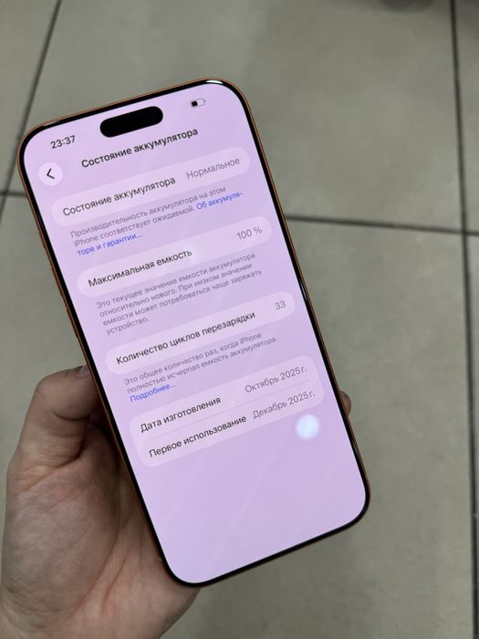 17 pro max 256 33цикл