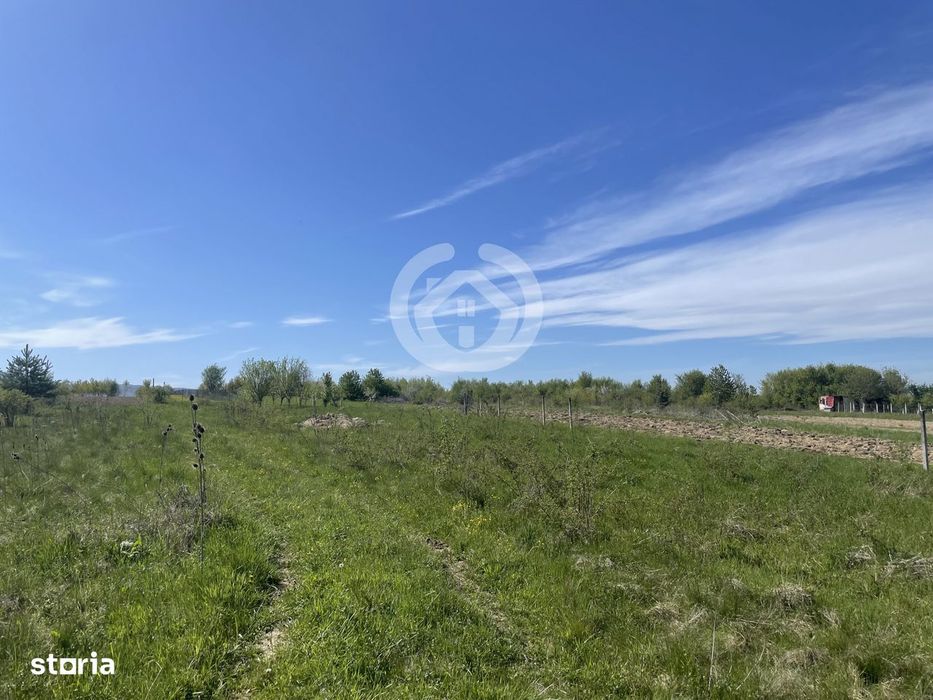 Vanzare Teren Intravilan | 1200 Mp | Poplaca, Sibiu