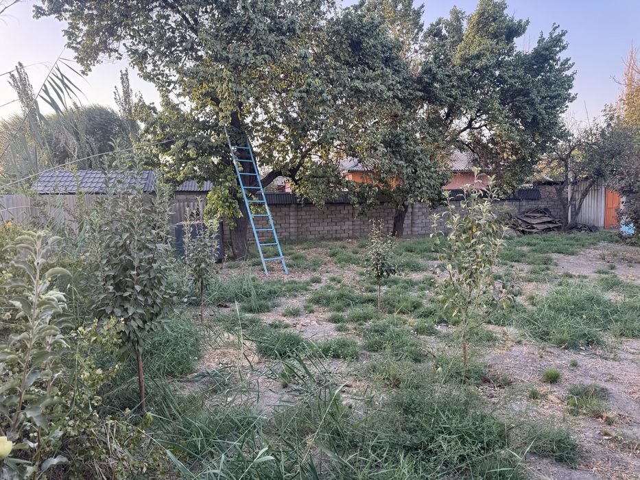 Продам Дом в городе Сарыагаш