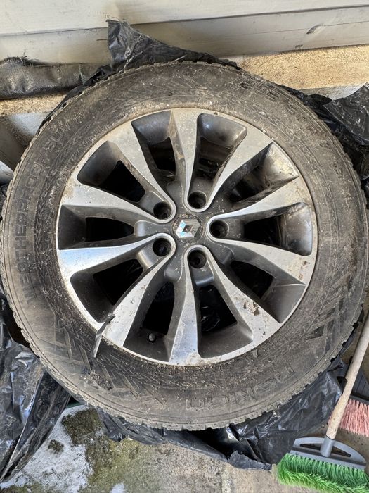 Renault  Koleos vand