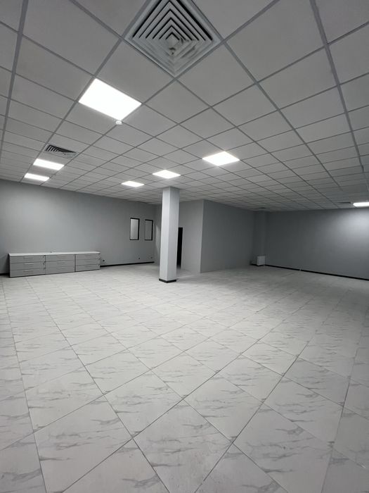 Офис около метро Пушкина 120 квм