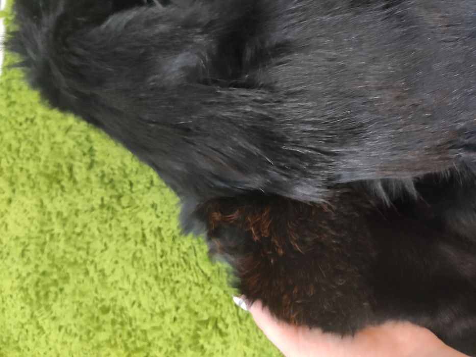 Шуба натуральная