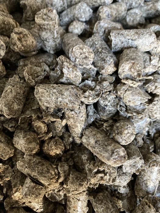 Жом свекловичный