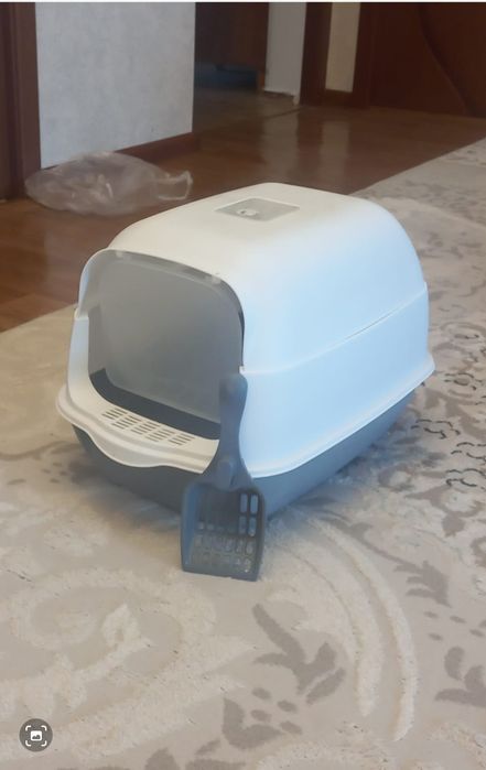 Для котенка горшок