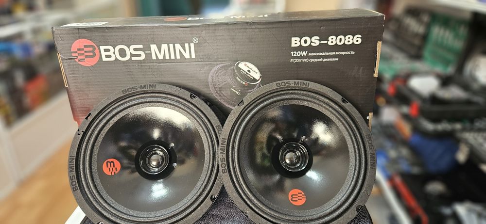 Динамики 20тые Босмини