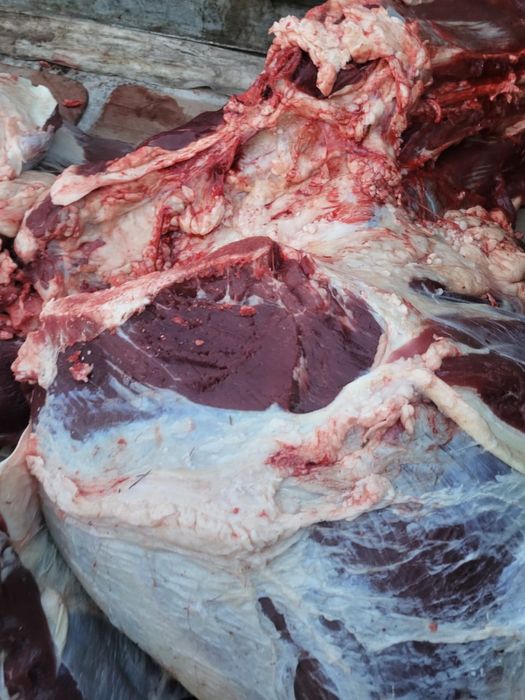 Говядина по частям