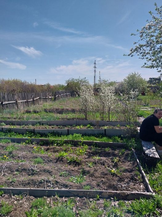 Продам дачу Черёмушки