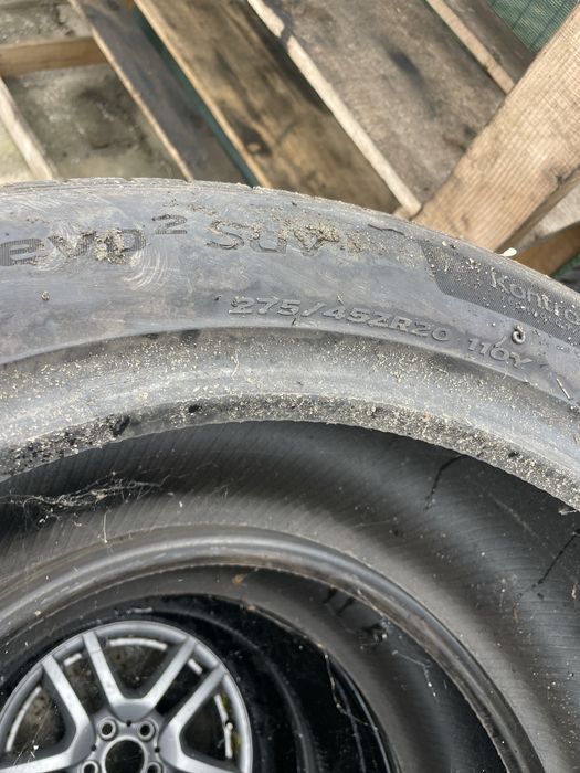 Caucicuri vara 20”