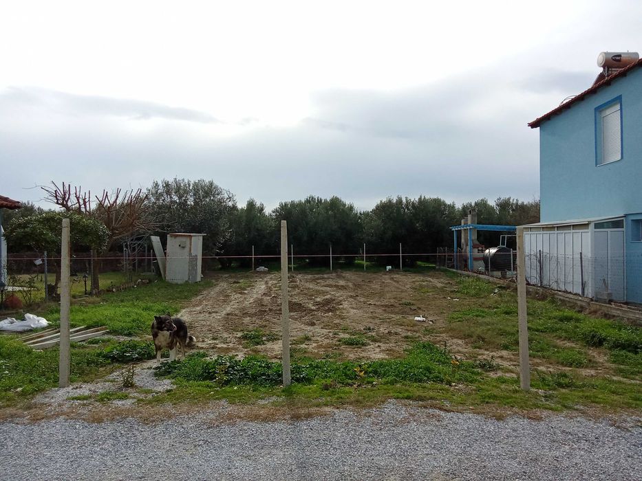 Дава  парцел 440за каравани в Кариани до брега.Ток, вода, шахта.6000 е