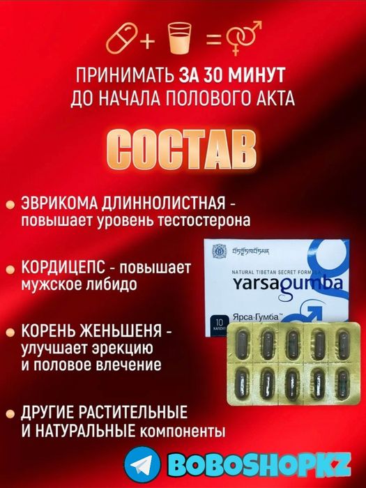 катализаторнаш паярсагума