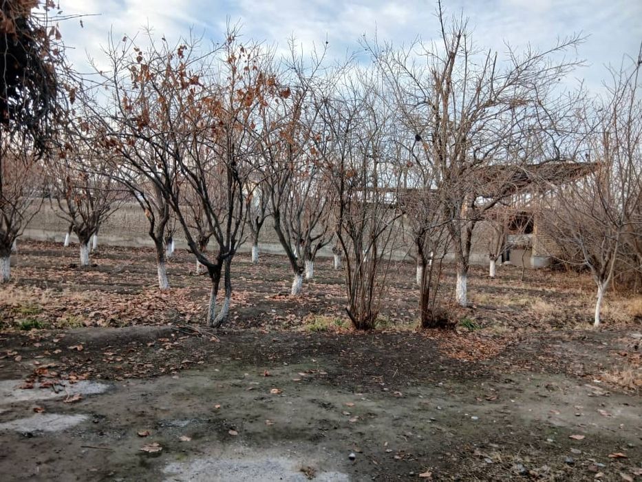 4 sotix xovli uy 36.000 dollor