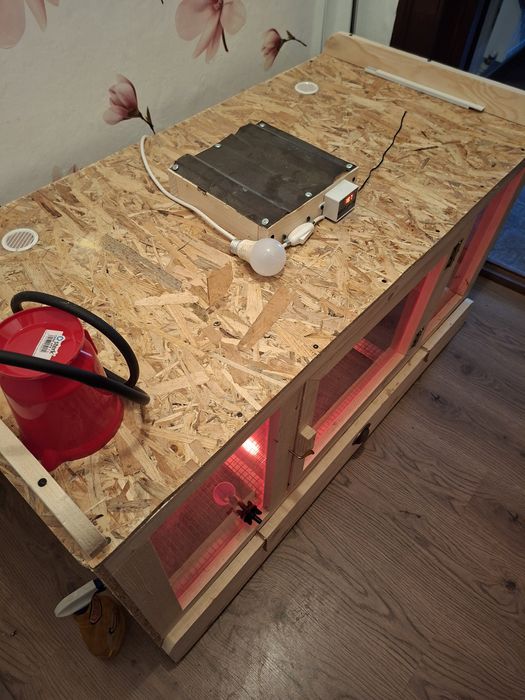 Maternitate pui,125/65