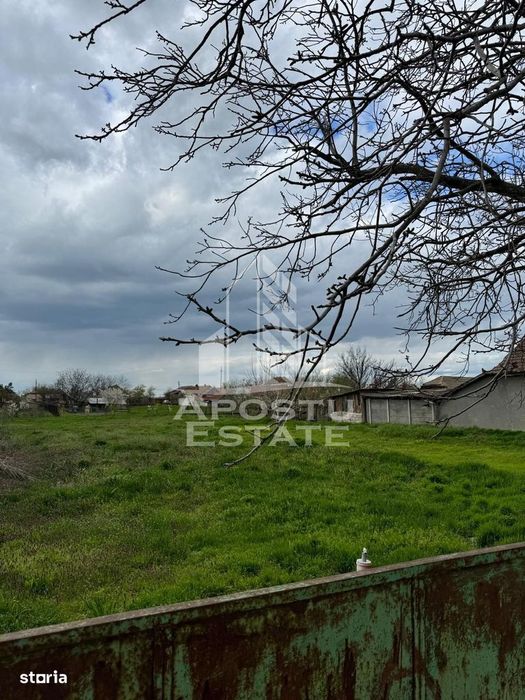 Teren intravilan 1000 mp in Dinias 20km de Timisoara - Vedere 2