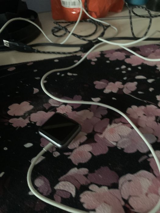 Часы Apple watch se
