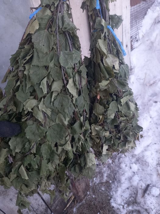 Продам банные веники