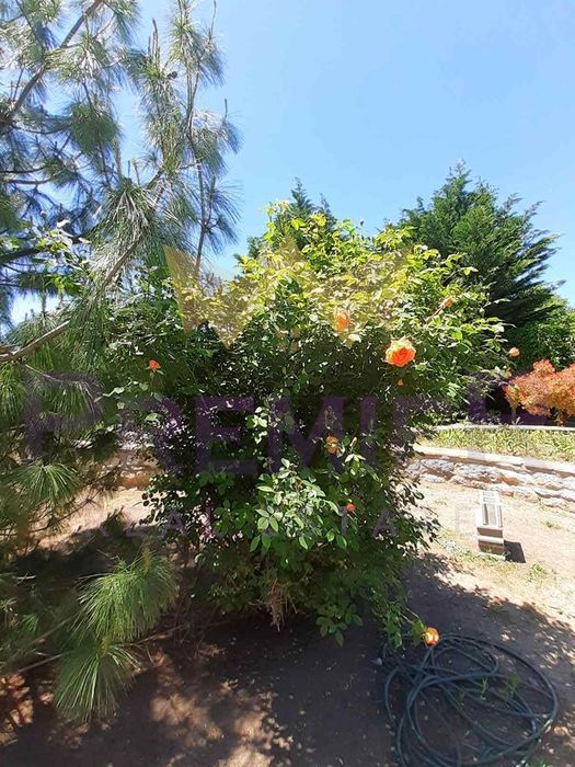 Продава се Парцел в с. Долище, Област Варна - 760 кв.м за 47 €/кв.м - Снимка #10