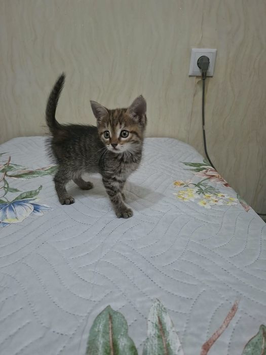 Пусть мама меня непременно найдет