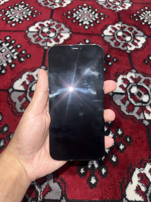 Iphone 12 pro max