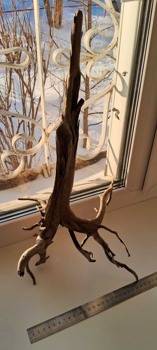 Коряга в аквариум