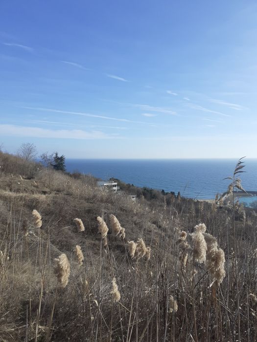 Продава се Парцел в Варна, Северна промишлена зона - 798 кв.м за 34 €/кв.м - Снимка #7