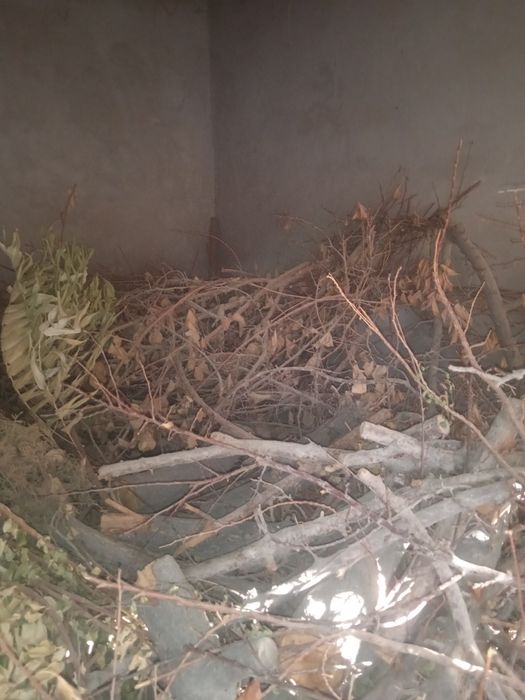 продаётся дрова.