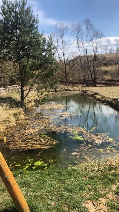 Cabana de vanzare Apuseni