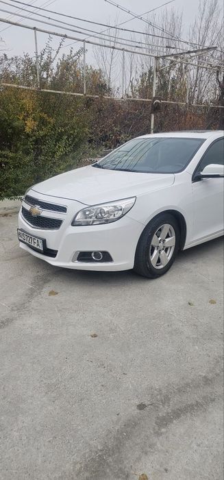 Malibu sotiladi xolati zo‘r