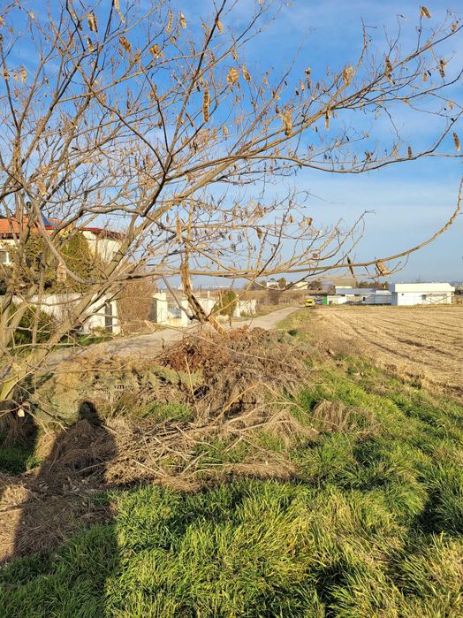 Proprietar, vând teren în Techirghiol, 635 mp, zonă cu potențial