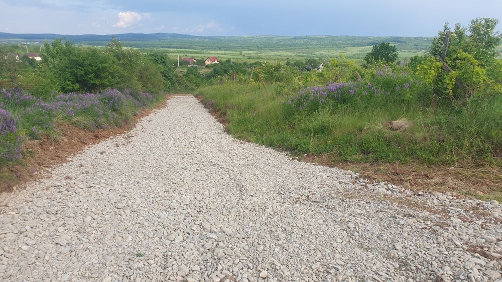 Teren  Extravilan ,Vita de  vie /Comuma Plopu, Judetul Prahova