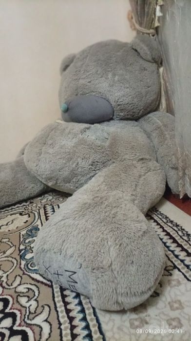 teddy ayiq kattasi