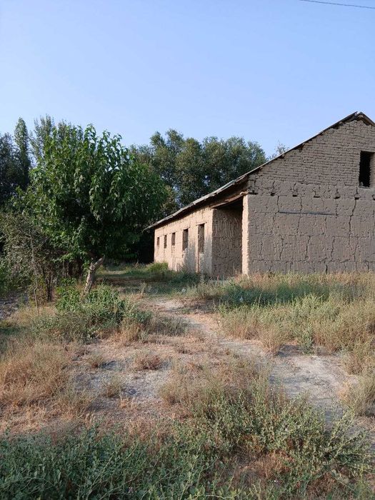 Eр cотилади уй билан биргаликда