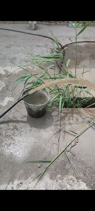 Артизан качалка сув чикарамиз