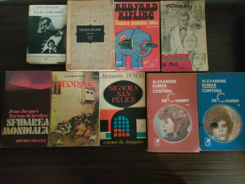 Lot de cărți + discuri vinil