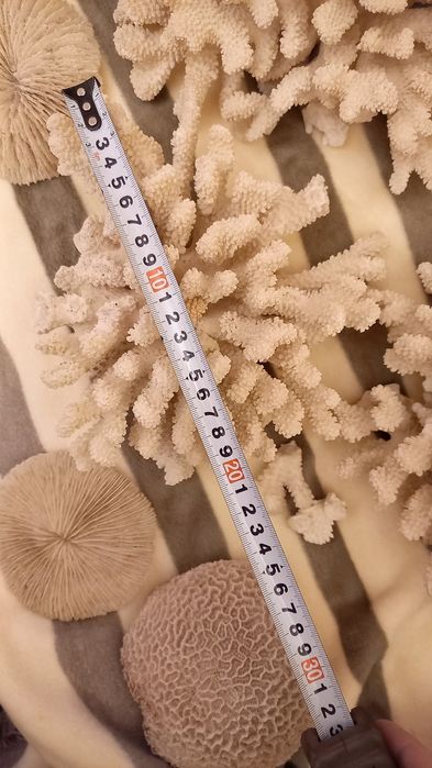 Грот и каралы для аквариума.