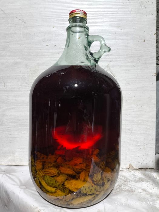 Настойка сосновых шишек