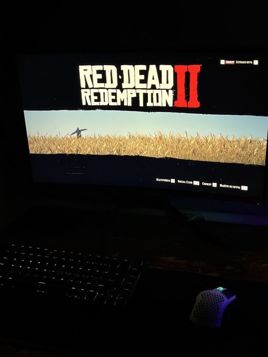 Монитор Sanc.