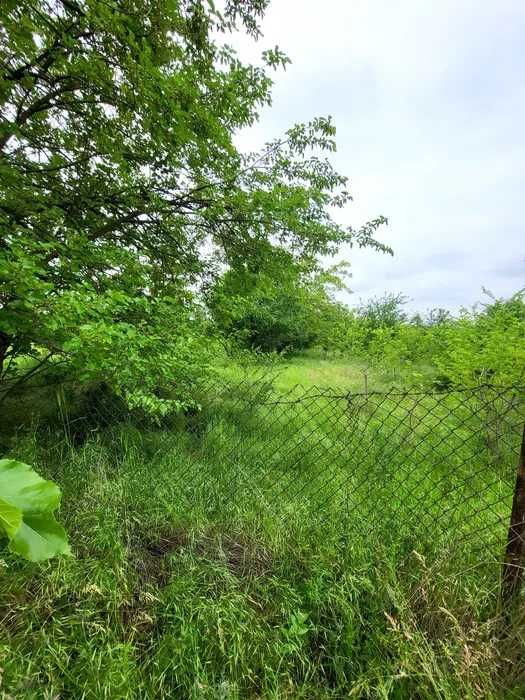 Продава се Парцел в с. Върбен, Област Пловдив - 1500 кв.м за 4 €/кв.м - Снимка #4