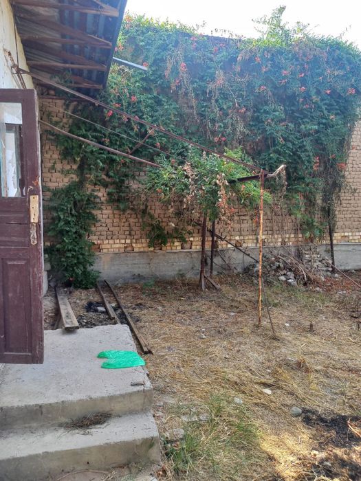 Zangiota bogzor kochasi 6 sotu yer sotiladi 2 xona uyi bilan srocna