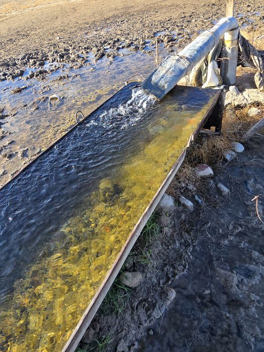 Фазенда мал шаруашылығына