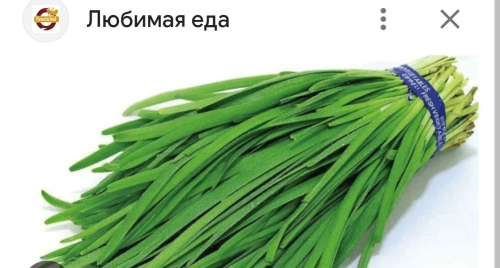 Продам джусай свежий