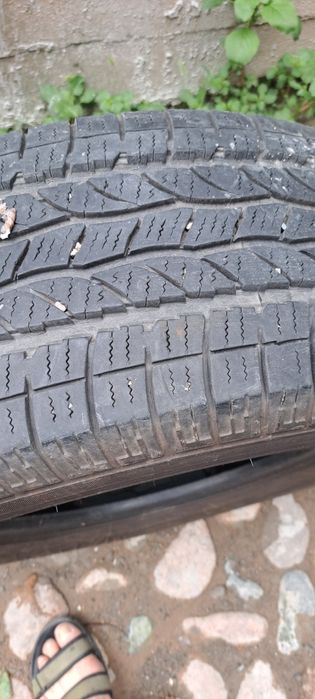 Шины максис лето