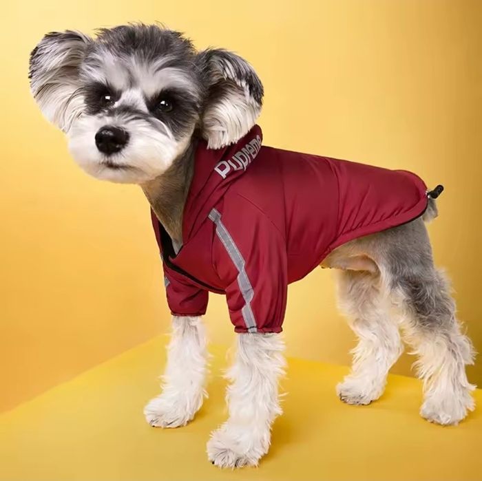 Haina de Iarna pentru catel marime XL The Dog Face