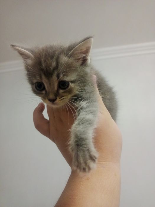 Busty bilan kiyim almashtirish