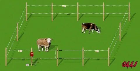 Электропастух ( Электроизгородь) для КРС