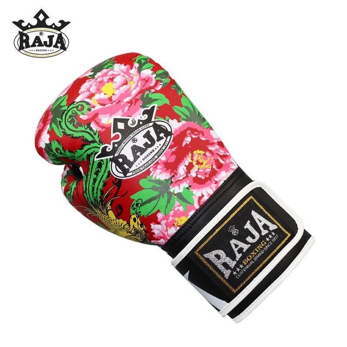 Перчатки боксерские Raja boxing