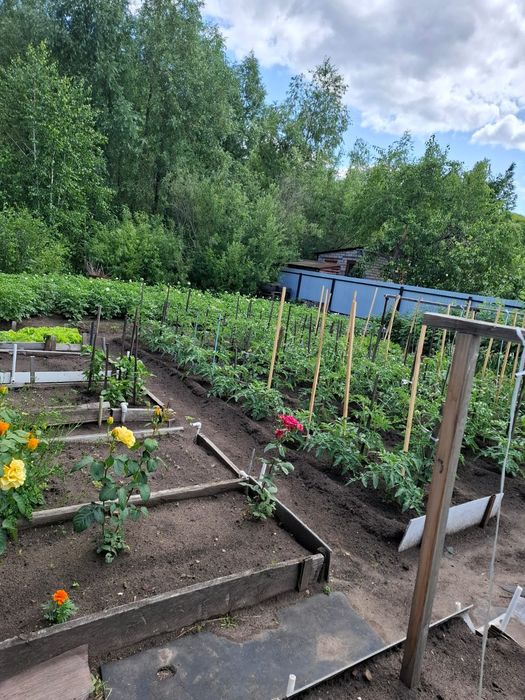 Продам дачу 4 сотки , ухоженная
