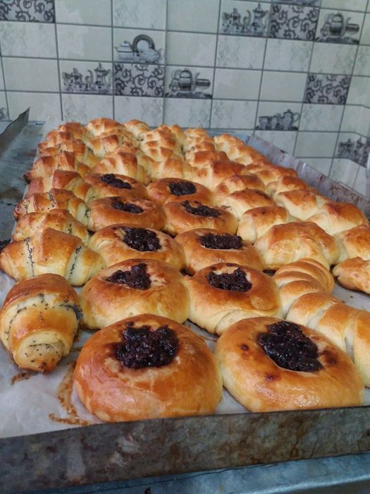 Elektricheskiy duxovka. 220v