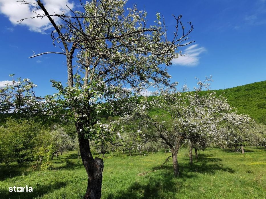 Teren de Vânzare, Budeasa Mica – Potrivit pentru Casă de Vacanță sau I