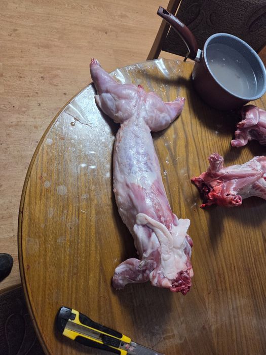 Carne de iepure de casă