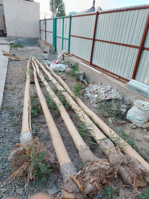 Сатылады алатынлар хаварлассын